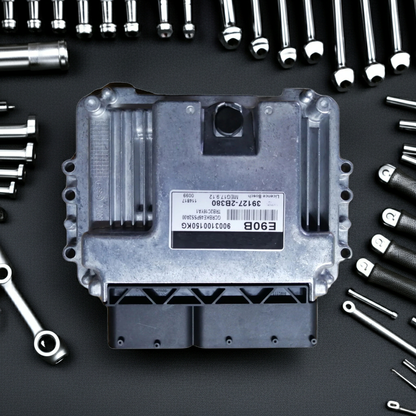 Engine ECU Control Module (KIA / Hyundai)